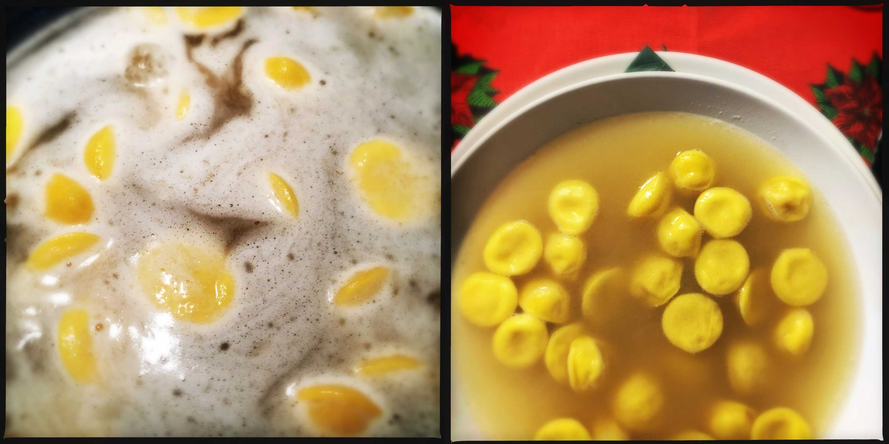 anolini cappelletti